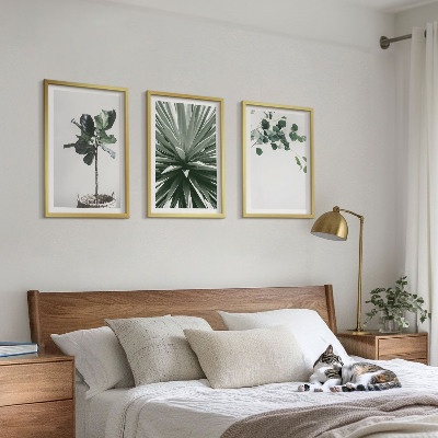 Bilder-3er-set mit rahmen Minimalismus mit grünen Pflanzen