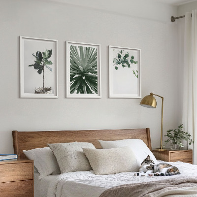 Bilder-3er-set mit rahmen Minimalismus mit grünen Pflanzen