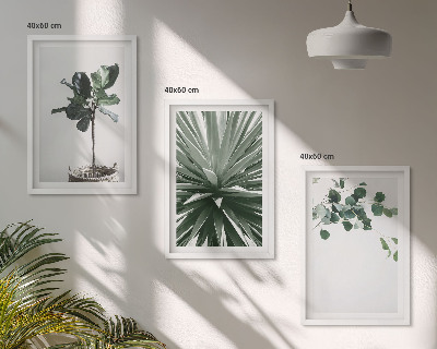 Bilder-3er-set mit rahmen Minimalismus mit grünen Pflanzen