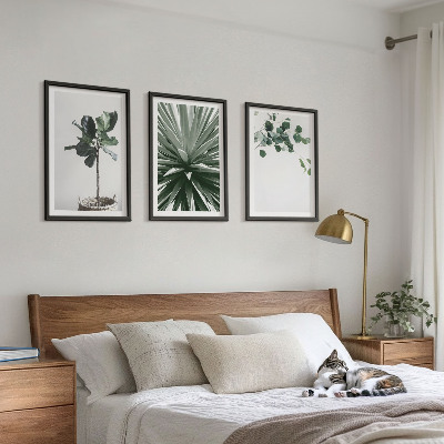Bilder-3er-set mit rahmen Minimalismus mit grünen Pflanzen