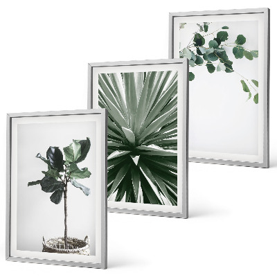 Bilder-3er-set mit rahmen Minimalismus mit grünen Pflanzen
