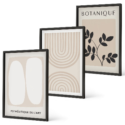 Bilder-3er-set mit rahmen Boho-Pflanzenposter