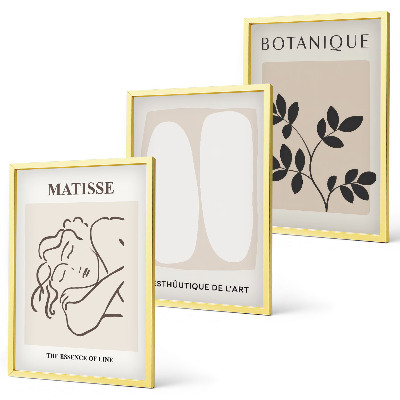 Gerahmtes bilderset Matisses stilvolle Pflanzenbilder