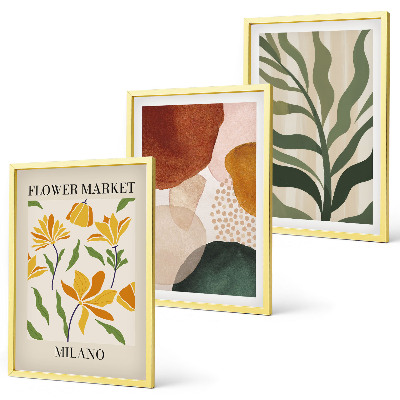 Bilder-3er-set mit rahmen Florale abstrakte Formen