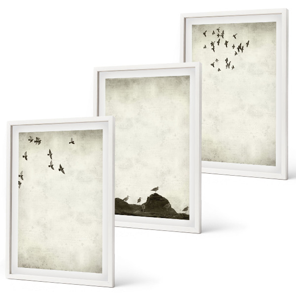 Bilder-3er-set mit rahmen Fliegende Vögel Minimalismus