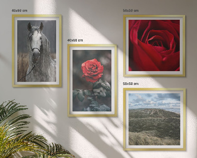 Polyptychon mit rahmen Rote Rosen auf pferdegrauem Hintergrund