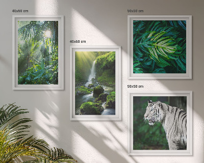 Wanddeko-set Dschungel-Weißtiger-Wasserfall