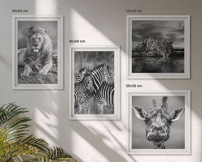 Polyptychon mit rahmen Wildtiere Löwe Jaguar Giraffe Zebras