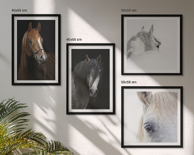 Wanddeko-set Pferdeporträts in Schattierungen
