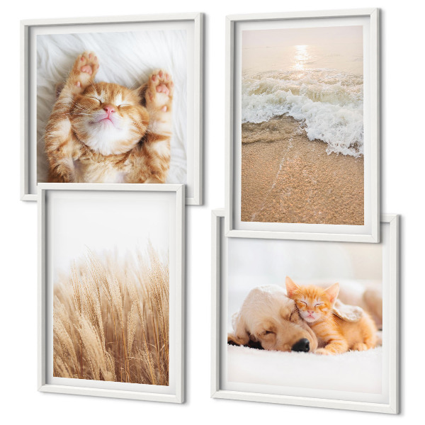 Wanddeko-set Niedliche Tiere, Katzen, Hunde, Strand