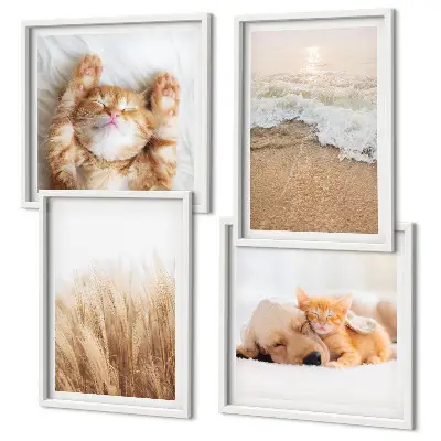Wanddeko-Set niedliche Tiere mit Katzen, Hunden und Strandmotiven