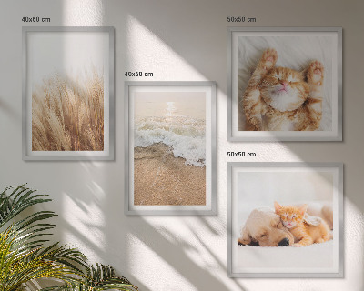 Wanddeko-set Niedliche Tiere, Katzen, Hunde, Strand