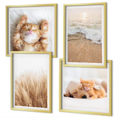 Wanddeko-set Niedliche Tiere, Katzen, Hunde, Strand