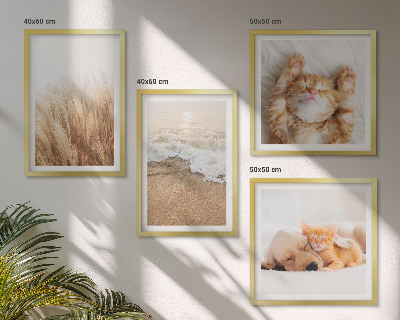 Wanddeko-set Niedliche Tiere, Katzen, Hunde, Strand