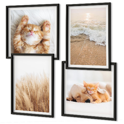 Wanddeko-set Niedliche Tiere, Katzen, Hunde, Strand
