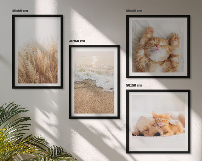 Wanddeko-set Niedliche Tiere, Katzen, Hunde, Strand