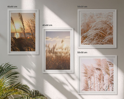 Wanddeko-set Boho-Grasfeld-Sonnenuntergang
