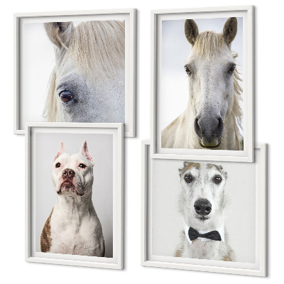 Wanddeko-set Elegante Porträts von Hunden und Pferden