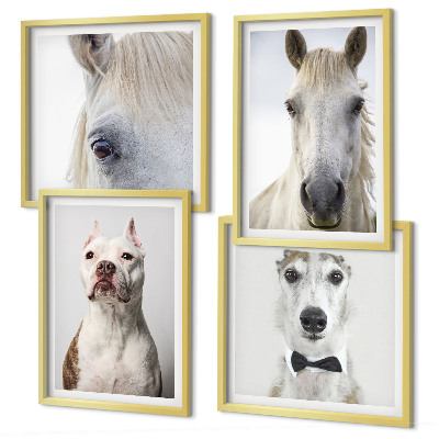 Wanddeko-set Elegante Porträts von Hunden und Pferden
