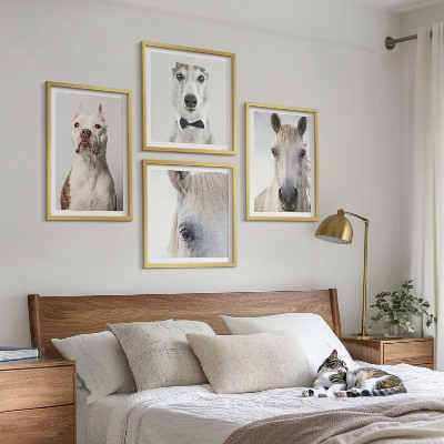 Wanddeko-set Elegante Porträts von Hunden und Pferden