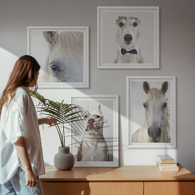 Wanddeko-set Elegante Porträts von Hunden und Pferden