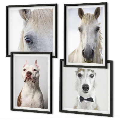 Wanddeko-set Elegante Porträts von Hunden und Pferden