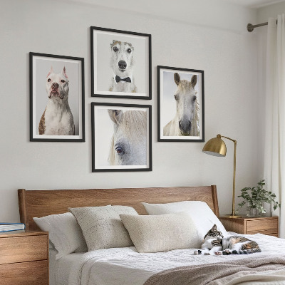 Wanddeko-set Elegante Porträts von Hunden und Pferden