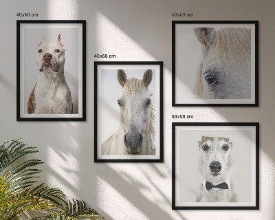 Wanddeko-set Elegante Porträts von Hunden und Pferden