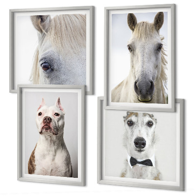 Wanddeko-set Elegante Porträts von Hunden und Pferden