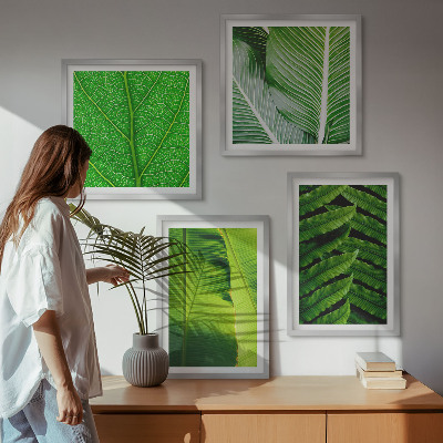 Wanddeko-set Nahaufnahme von tropischen Blättern