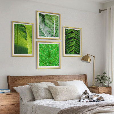 Wanddeko-set Nahaufnahme von tropischen Blättern