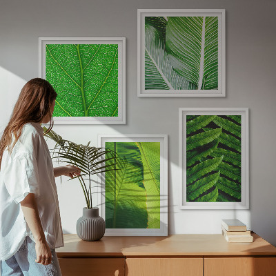 Wanddeko-set Nahaufnahme von tropischen Blättern