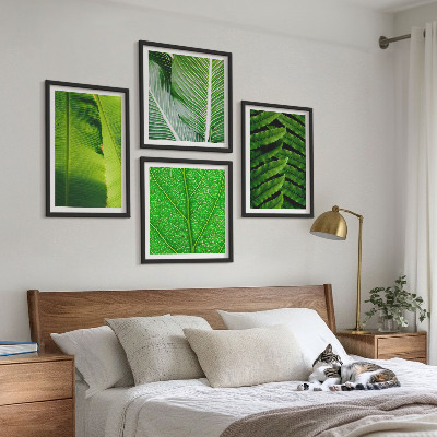 Wanddeko-set Nahaufnahme von tropischen Blättern