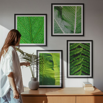 Wanddeko-set Nahaufnahme von tropischen Blättern
