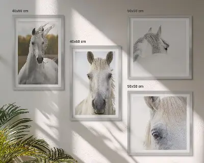 Wanddeko-Set mit Motiv weiße Pferde