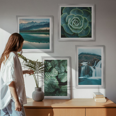 Wanddeko-set Nahaufnahmen von Blättern sukkulenter Pflanzen