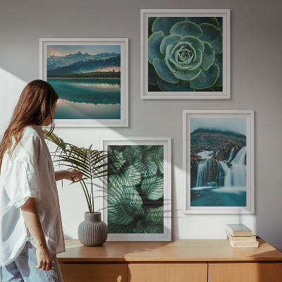 Wanddeko-set Nahaufnahmen von Blättern sukkulenter Pflanzen