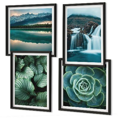 Wanddeko-set Nahaufnahmen von Blättern sukkulenter Pflanzen