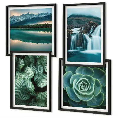 Wanddeko-Set Nahaufnahmen von sukkulenten Pflanzenblättern