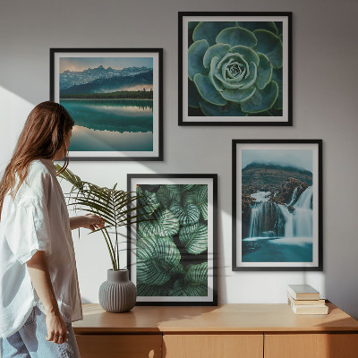 Wanddeko-set Nahaufnahmen von Blättern sukkulenter Pflanzen