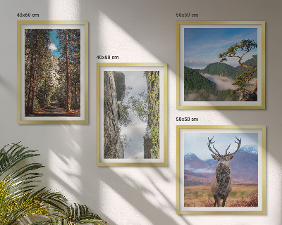 Wanddeko-set Straße Wald Berge Hirsch Natur