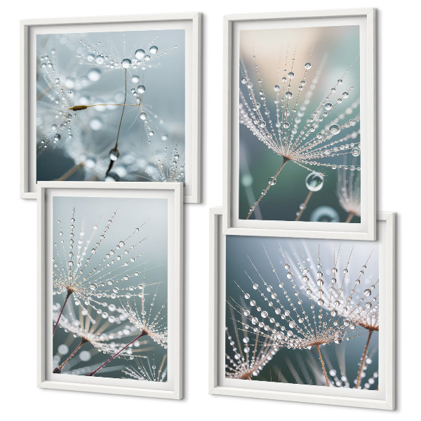 Wanddeko-set Wassertropfen auf Löwenzahnsprossen