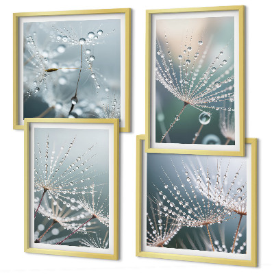 Wanddeko-set Wassertropfen auf Löwenzahnsprossen