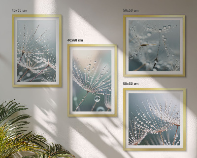 Wanddeko-set Wassertropfen auf Löwenzahnsprossen
