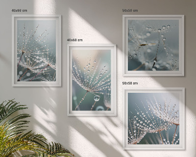 Wanddeko-set Wassertropfen auf Löwenzahnsprossen