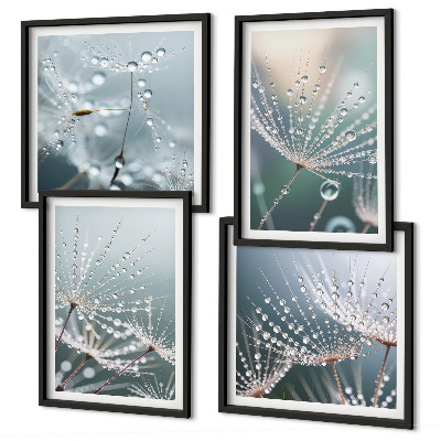 Wanddeko-set Wassertropfen auf Löwenzahnsprossen