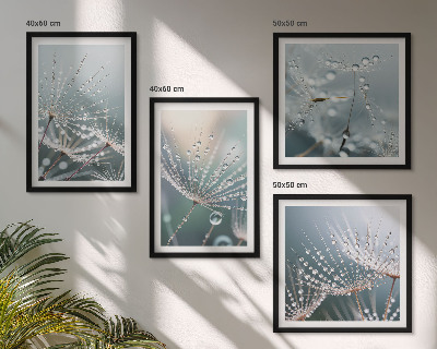 Wanddeko-set Wassertropfen auf Löwenzahnsprossen