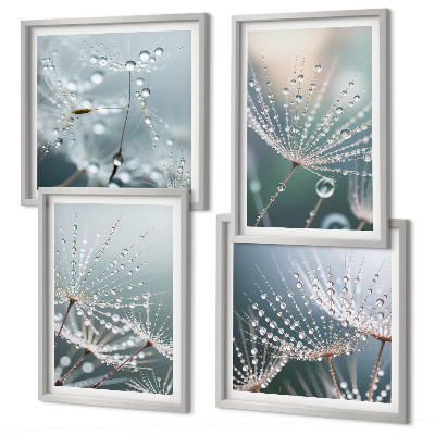 Wanddeko-set Wassertropfen auf Löwenzahnsprossen