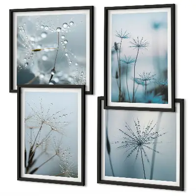 Wanddeko-Set Löwenzahn mit Wassertropfen Set mit Wassertropfen-Motiv
