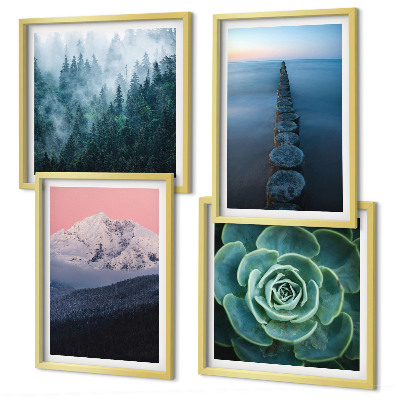 Wanddeko-set Berge, rosa Himmel, Wasser, Sukkulente